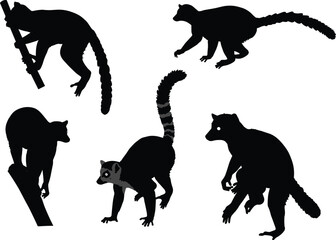 Silhouette of lemurs with long tails, Madagascar wildlife primates, climbing lemur shadows, exotic animal illustration, black silhouettes isolated on white background