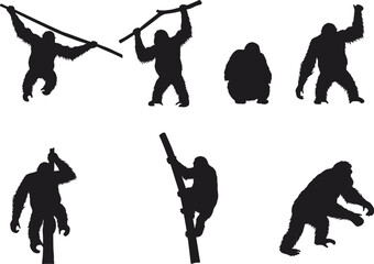 Silhouette of orangutans in various poses, wild ape shadows, climbing and sitting orangutan illustration, black silhouettes isolated on white background © Moslama