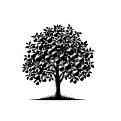Fototapeta premium Apple Tree Vector – Ripe Fruit Tree Illustration for Farm and Orchard Design