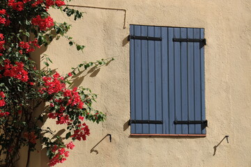 Exterior of house in Mediterranean seaside town in France featuring blue wooden window shutters and bougainvillea flowers in blossom 