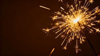 Firework Display Moment