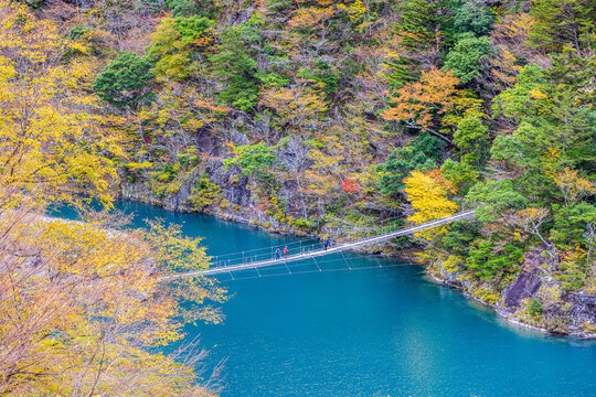 Autumn scenery of the Dream Suspension Bridge in Sumata Gorge, Shizuoka Prefecture