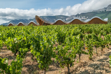 Famous Bodegas Ysios winery near Laguardia, Spain.