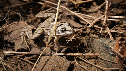 Foto scattata lungo la strada che porta ai Laghi della Lavagnina.
