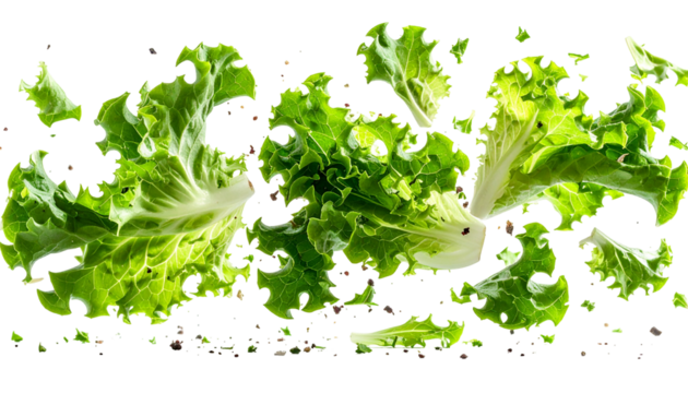 Abstract arrangement of vibrant green leafy vegetables