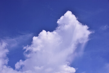 Obraz premium Large cumulus white cloud rising in a vibrant deep blue sky, creating a dramatic and peaceful atmosphere. A natural tropical sky scene from Bangladesh