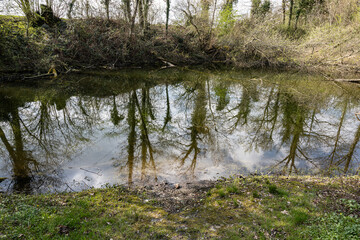 Wasserteich bei Benken, Kanton St. Gallen, Schweiz
