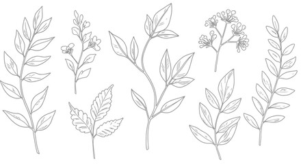 seamless pattern of wheat ears