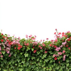 Naklejka premium pink flowers in the garden