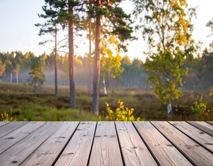 Wooden deck overlooking a misty forest at sunrise