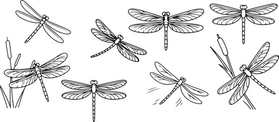 Dragonfly icon, Insect vector design, Flying dragonfly silhouette, Dragonfly outline art, Garden dragonfly clipart, Nature insect graphic, Bug illustration symbol, River dragonfly drawing, Dragonfly w © pankaj