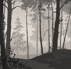 Vector illustration - forest with different plants and trees.