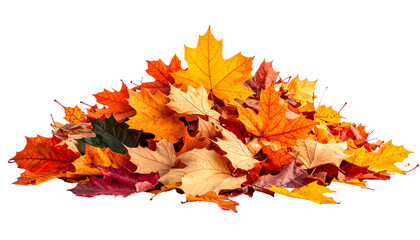 Pile of autumn leaves (1)