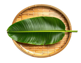 Single green leaf in a round woven bamboo tray