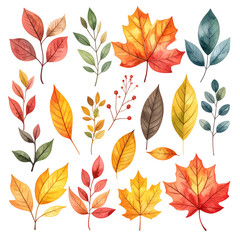 Autumn leaves collection (1)
