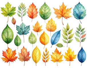 Obraz premium Vibrant autumn leaves