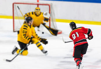 Ice hockey player shoots the puck against the opponents net