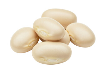Isolated butter beans group close-up healthy food source cooking ingredients raw seeds pulses