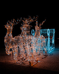 Christmas light display with glowing reindeer and sleigh at night © Mihail