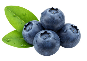 Isolated heap of fresh blueberries with green leaves and water droplets, close up view