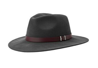 Elegant gray fedora hat PNG isolated on transparent background Stylish men s fashion accessory for formal occasions
