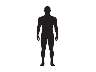 Human body silhouette icon vector illustration solid black anatomical structure outline