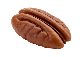 Isolated pecan nut close-up for cooking and snacking in the kitchen, a delicious food