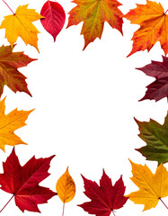 Fototapeta premium Autumn leaves forming a circular frame against a black background