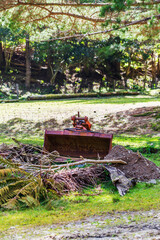 An old rusted bulldozer bucket rests in a grassy woodland clearing, surrounded by branches and soil