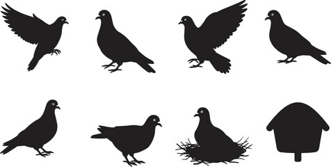 PrintPigeon silhouette collection, flying bird, walking pigeon, nesting bird, birdhouse illustration, urban wildlife, black silhouette, vector design, animal posture, nature