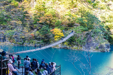 Autumn scenery of the Dream Suspension Bridge in Sumata Gorge, Shizuoka Prefecture