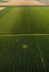 Photo Symmetric farmland fields with irrigation circles