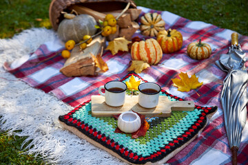Cozy autumn picnic on a checkered blanket with pumpkins, firewood, red rubber boots, umbrella, and mugs of hot coffee outdoors in the garden. Warm fall atmosphere with rustic decoration