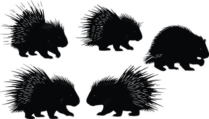 PrintSilhouette porcupine illustration, wild animal vector, spiky quills design, defensive wildlife art, black silhouette mammals, nature protection, exotic rodent drawing