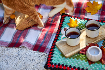 Cozy autumn picnic in the garden with pumpkins, colorful leaves, hot tea in enamel mugs,...