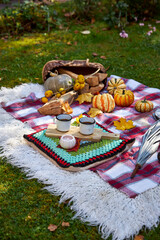 Cozy autumn picnic in the garden with pumpkins, colorful leaves, hot tea in enamel mugs, candlelight and warm blanket. Rustic fall atmosphere, relaxation and seasonal outdoor decoration