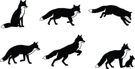 Fox silhouette collection, wild animal poses, sitting fox, walking fox, jumping fox, stalking fox, rearing fox, fox with cat, wildlife illustration, animal behavior study