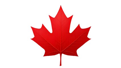 Canadian maple leaf, isolated on transparent background