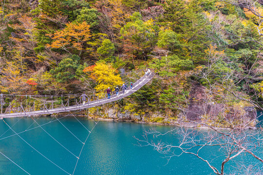 Autumn scenery of the Dream Suspension Bridge in Sumata Gorge, Shizuoka Prefecture