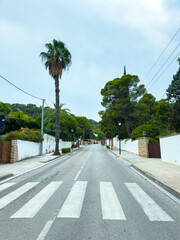 Fototapeta premium Tranquil street scene in a quiet neighborhood surrounded by palm trees and lush greenery under a cloudy sky