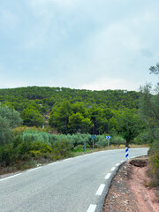 Winding road through lush greenery in a tranquil landscape during a cloudy day in the countryside