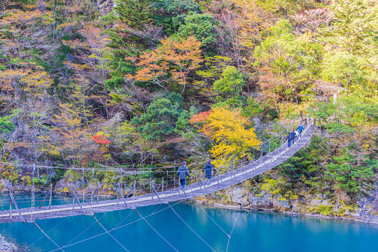 Autumn scenery of the Dream Suspension Bridge in Sumata Gorge, Shizuoka Prefecture