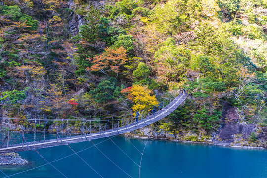 Autumn scenery of the Dream Suspension Bridge in Sumata Gorge, Shizuoka Prefecture