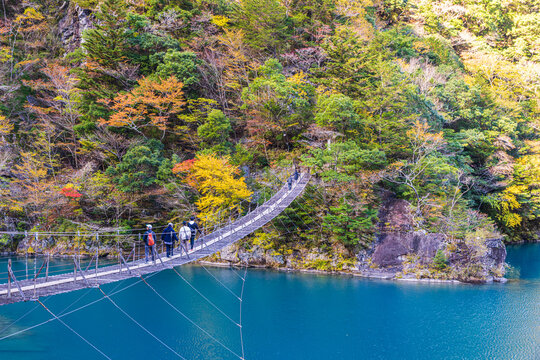 Autumn scenery of the Dream Suspension Bridge in Sumata Gorge, Shizuoka Prefecture