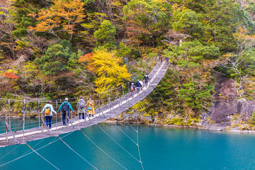 Autumn scenery of the Dream Suspension Bridge in Sumata Gorge, Shizuoka Prefecture