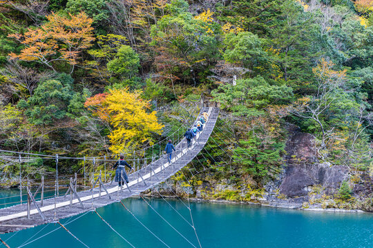 Autumn scenery of the Dream Suspension Bridge in Sumata Gorge, Shizuoka Prefecture