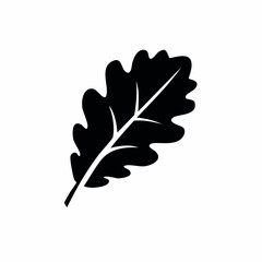 Fototapeta premium Silhouette Oak Leaf: A clean, stylized illustration of an oak leaf, rendered in bold black and white, the image captures the elegance of nature. 