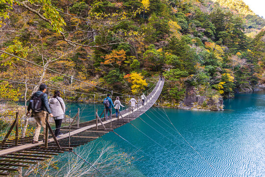 Autumn scenery of the Dream Suspension Bridge in Sumata Gorge, Shizuoka Prefecture