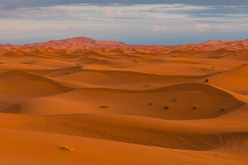 Endless Sahara Desert dunes in Morocco – rolling sand hills and breathtaking desert landscape in North Africa