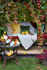 Cozy autumn still life in a garden with rustic table, pumpkins, quinces, glass jar, and warm seasonal decor. Outdoor fall atmosphere with natural colors, homely comfort, and countryside charm, perfect